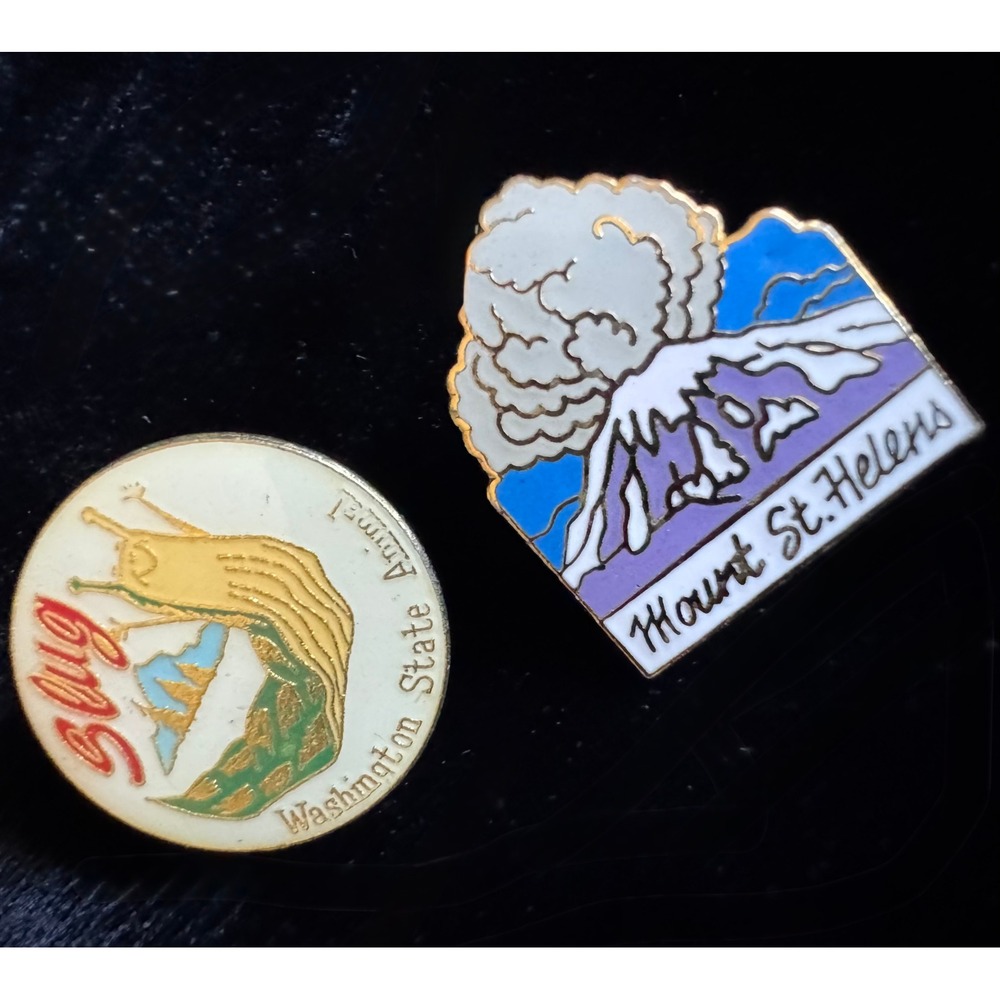 Vintage Washington State Pins Mount St Helens Eruption Banana Slug Souvenir Set